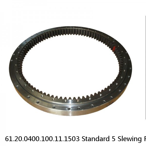 61.20.0400.100.11.1503 Standard 5 Slewing Ring Bearings