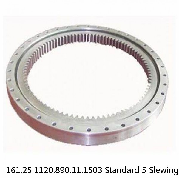 161.25.1120.890.11.1503 Standard 5 Slewing Ring Bearings