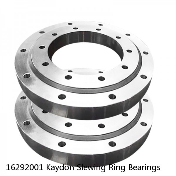 16292001 Kaydon Slewing Ring Bearings #1 small image
