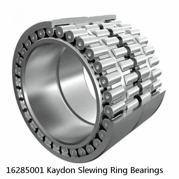 16285001 Kaydon Slewing Ring Bearings #1 small image