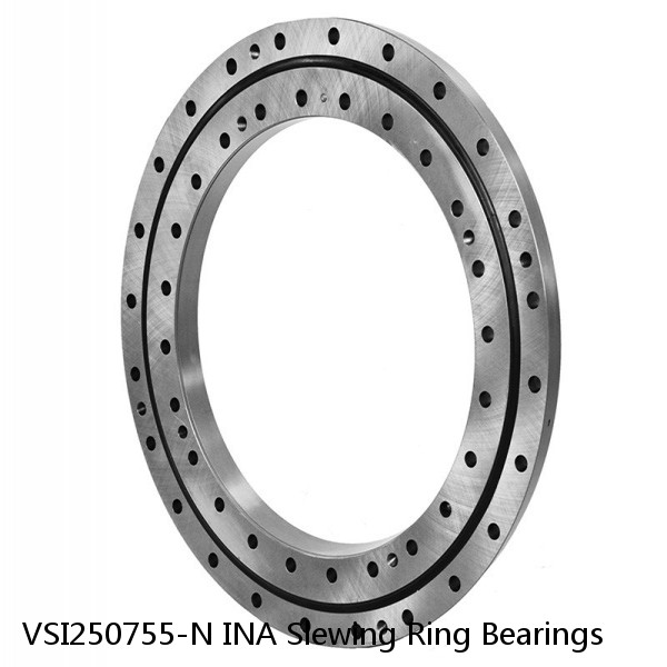 VSI250755-N INA Slewing Ring Bearings