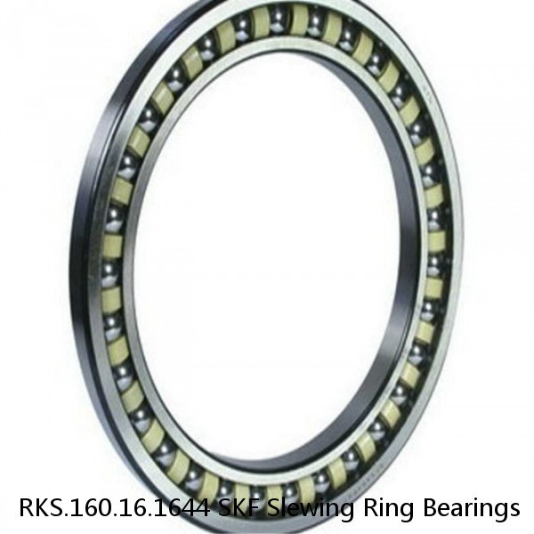 RKS.160.16.1644 SKF Slewing Ring Bearings