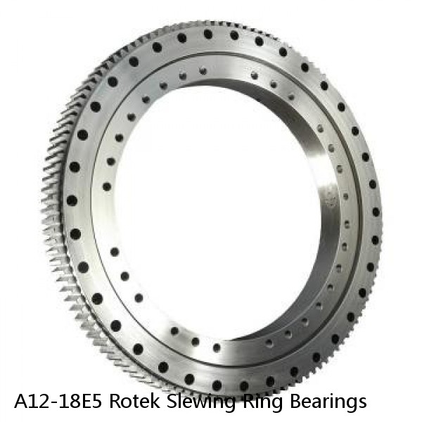 A12-18E5 Rotek Slewing Ring Bearings