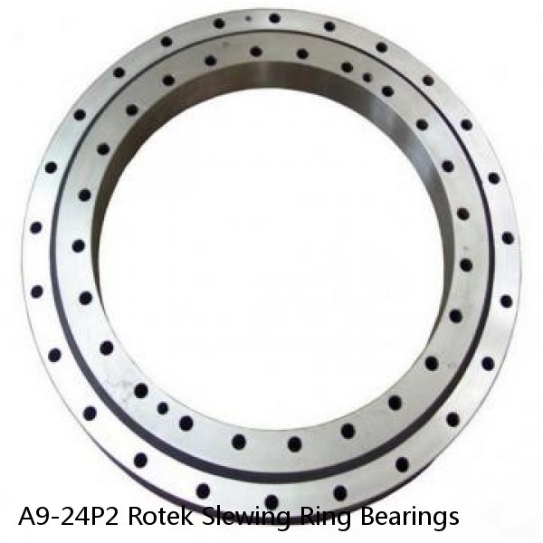 A9-24P2 Rotek Slewing Ring Bearings #1 small image