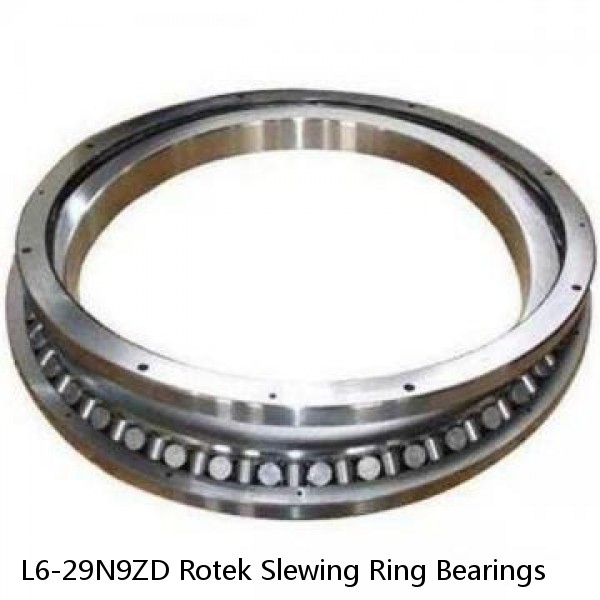 L6-29N9ZD Rotek Slewing Ring Bearings #1 small image