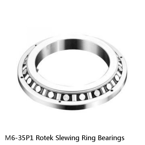 M6-35P1 Rotek Slewing Ring Bearings #1 small image