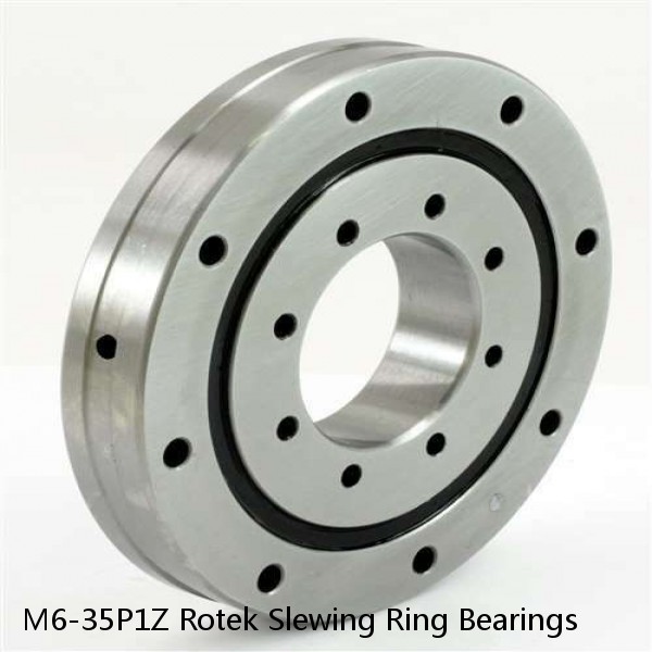 M6-35P1Z Rotek Slewing Ring Bearings #1 small image