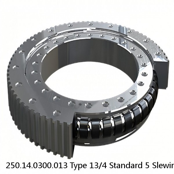 250.14.0300.013 Type 13/4 Standard 5 Slewing Ring Bearings #1 small image