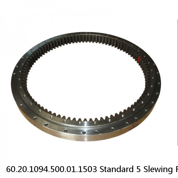 60.20.1094.500.01.1503 Standard 5 Slewing Ring Bearings #1 small image