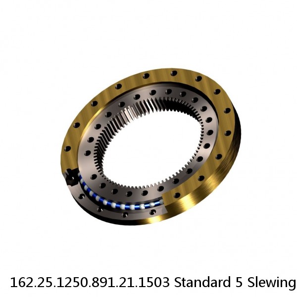 162.25.1250.891.21.1503 Standard 5 Slewing Ring Bearings #1 small image