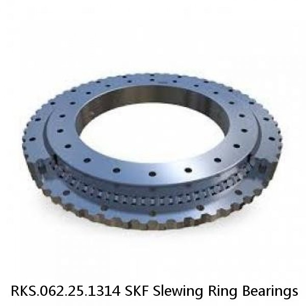 RKS.062.25.1314 SKF Slewing Ring Bearings #1 image