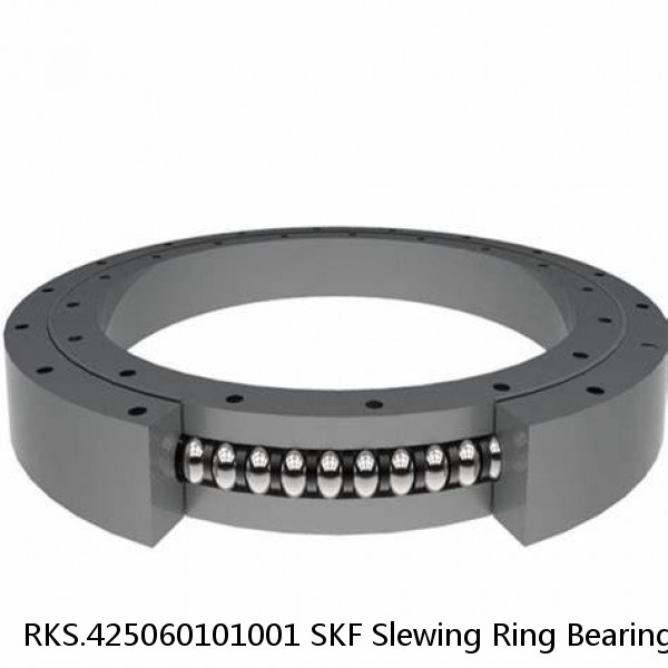 RKS.425060101001 SKF Slewing Ring Bearings #1 image