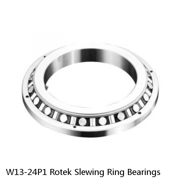 W13-24P1 Rotek Slewing Ring Bearings #1 image