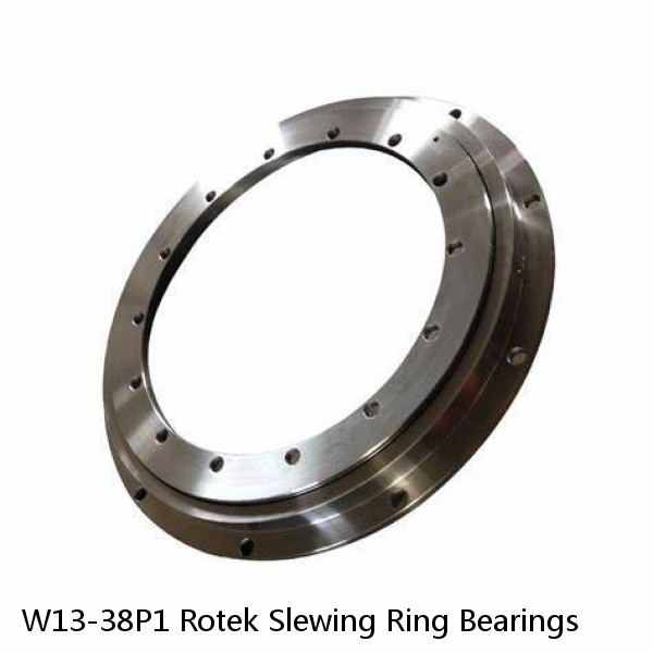 W13-38P1 Rotek Slewing Ring Bearings #1 image