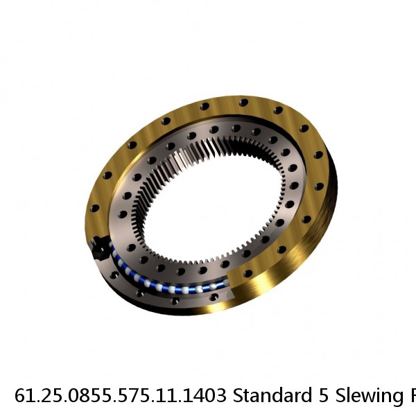 61.25.0855.575.11.1403 Standard 5 Slewing Ring Bearings #1 image
