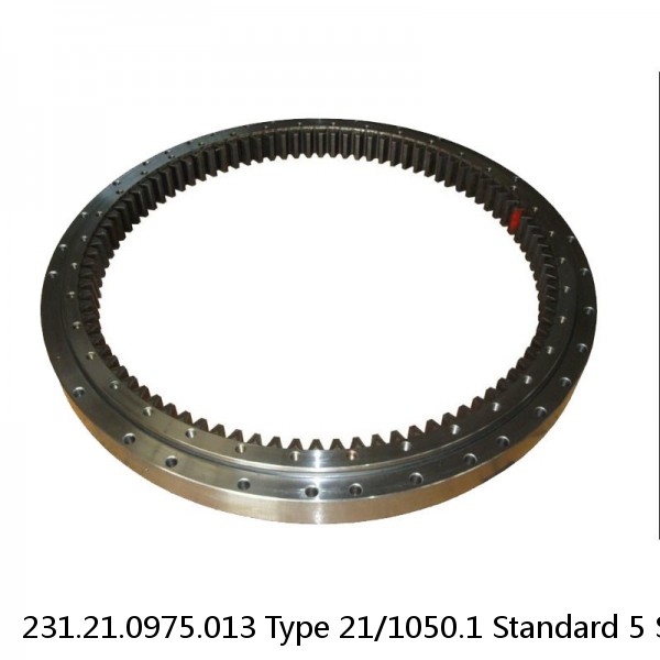 231.21.0975.013 Type 21/1050.1 Standard 5 Slewing Ring Bearings #1 image