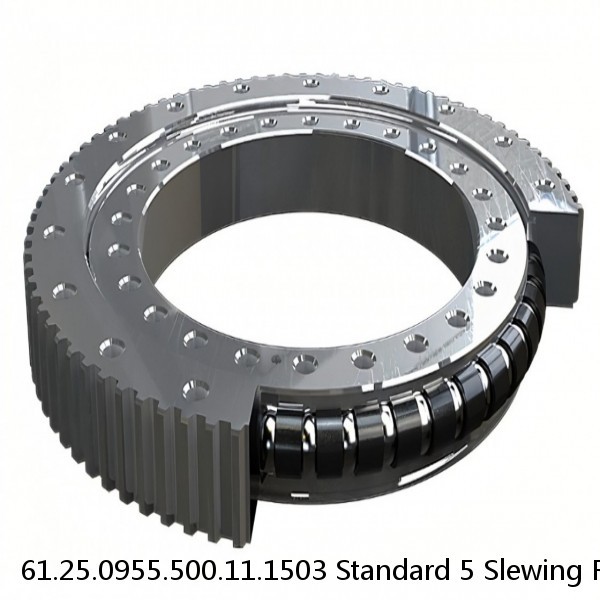 61.25.0955.500.11.1503 Standard 5 Slewing Ring Bearings #1 image