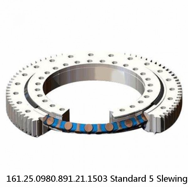 161.25.0980.891.21.1503 Standard 5 Slewing Ring Bearings #1 image