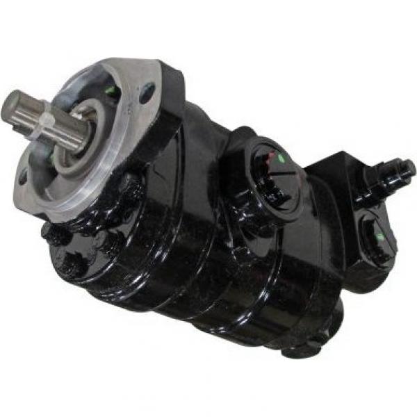 Gleaner S68 Reman Hydraulic Final Drive Motor #1 image