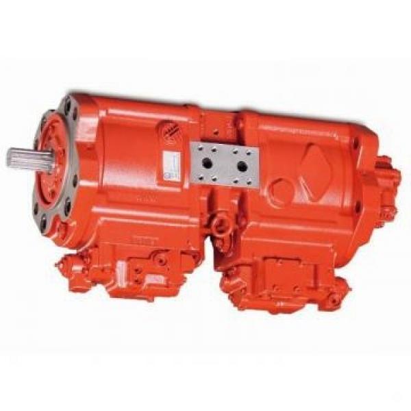 Case 158046A1 Hydraulic Final Drive Motor #1 image