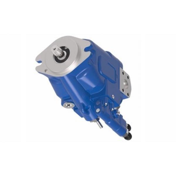 Timbco 425 Hydraulic Final Drive Motor #2 image