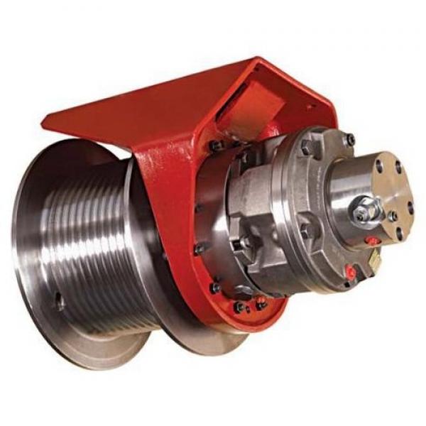 Timbco 445D Hydraulic Final Drive Motor #1 image